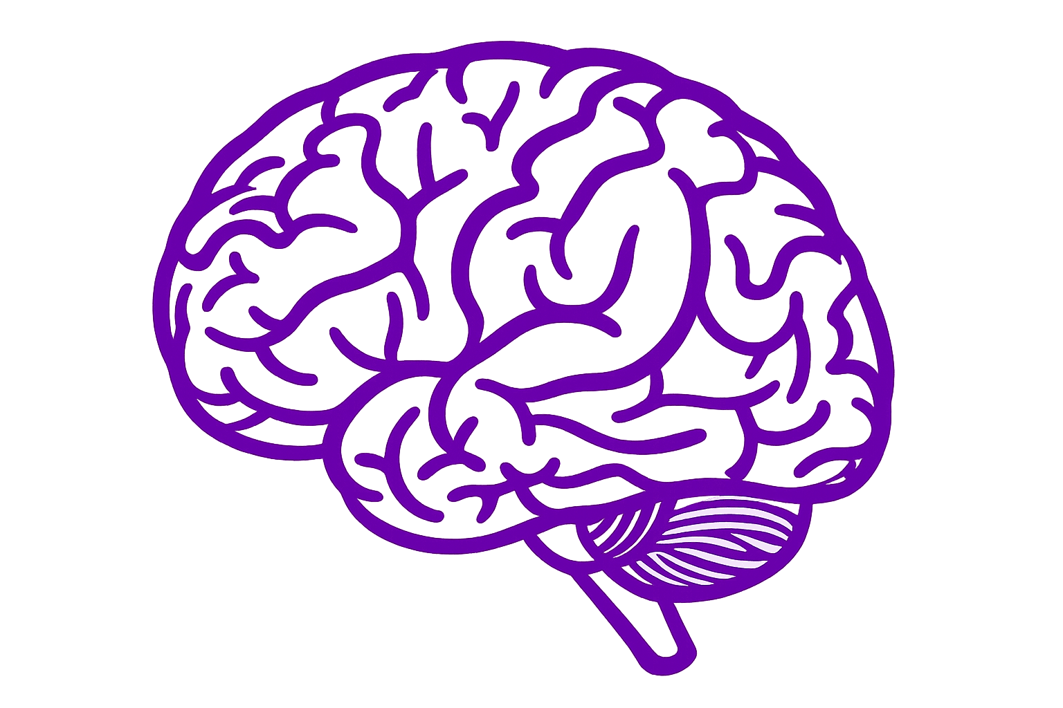 FloBrain project preview